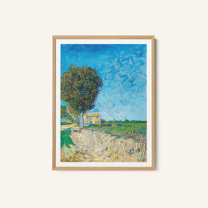 A Lane near Arles
