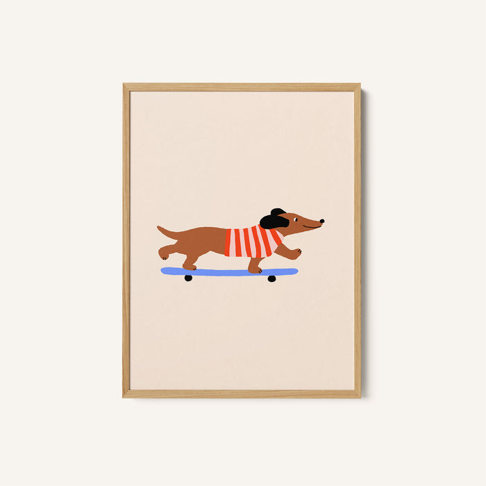 Dachshund on Skateboard