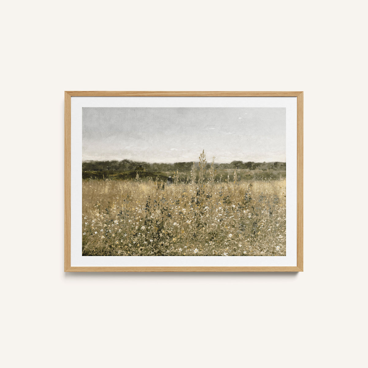Meadow Montage
