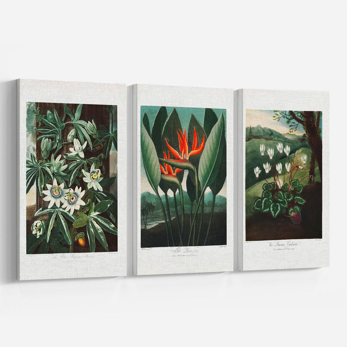 Temple Flaura Collection Set