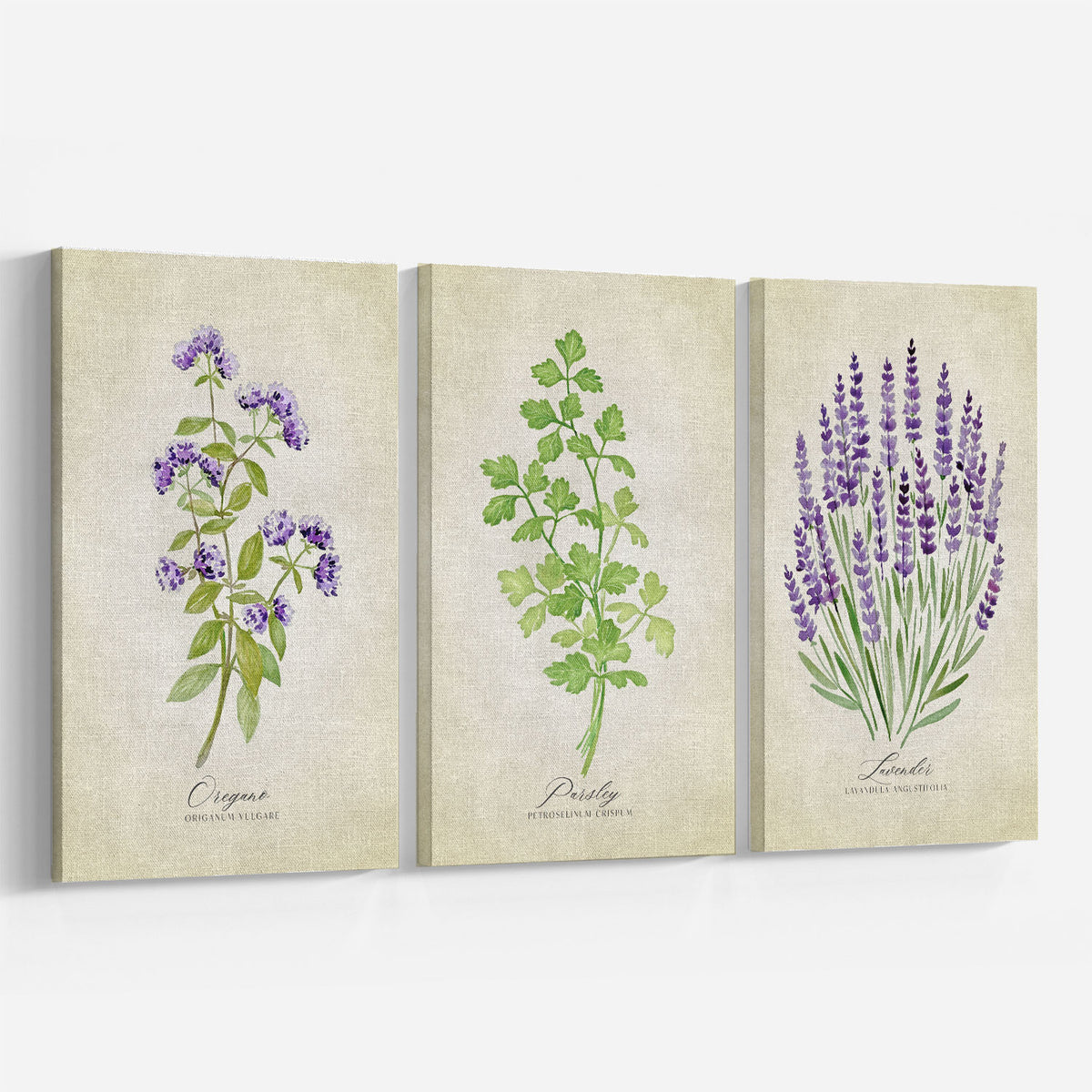 Vintage Botanical Rusted