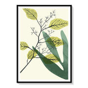 Botanical 2 Botanical Flower Paintings – image 1