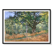 The Bodmer Oak Fontainebleau, Claude Monet Art Painting – image 1