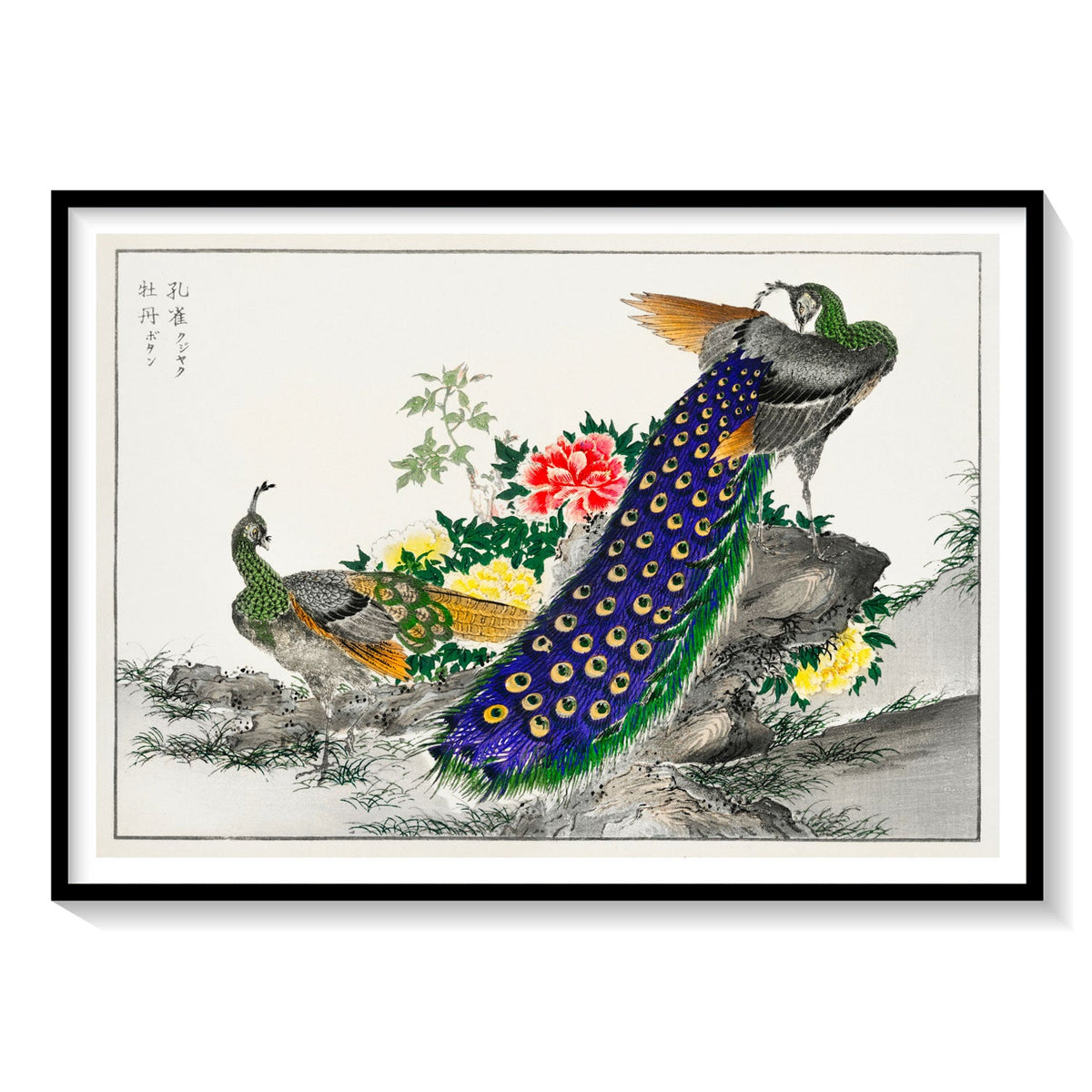 peacock and peony painting japanese art painting