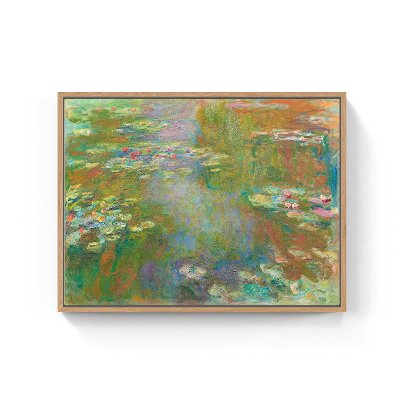 Water Lily Pond