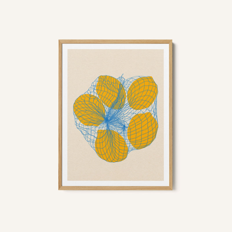 Five Lemons In a Net Bag