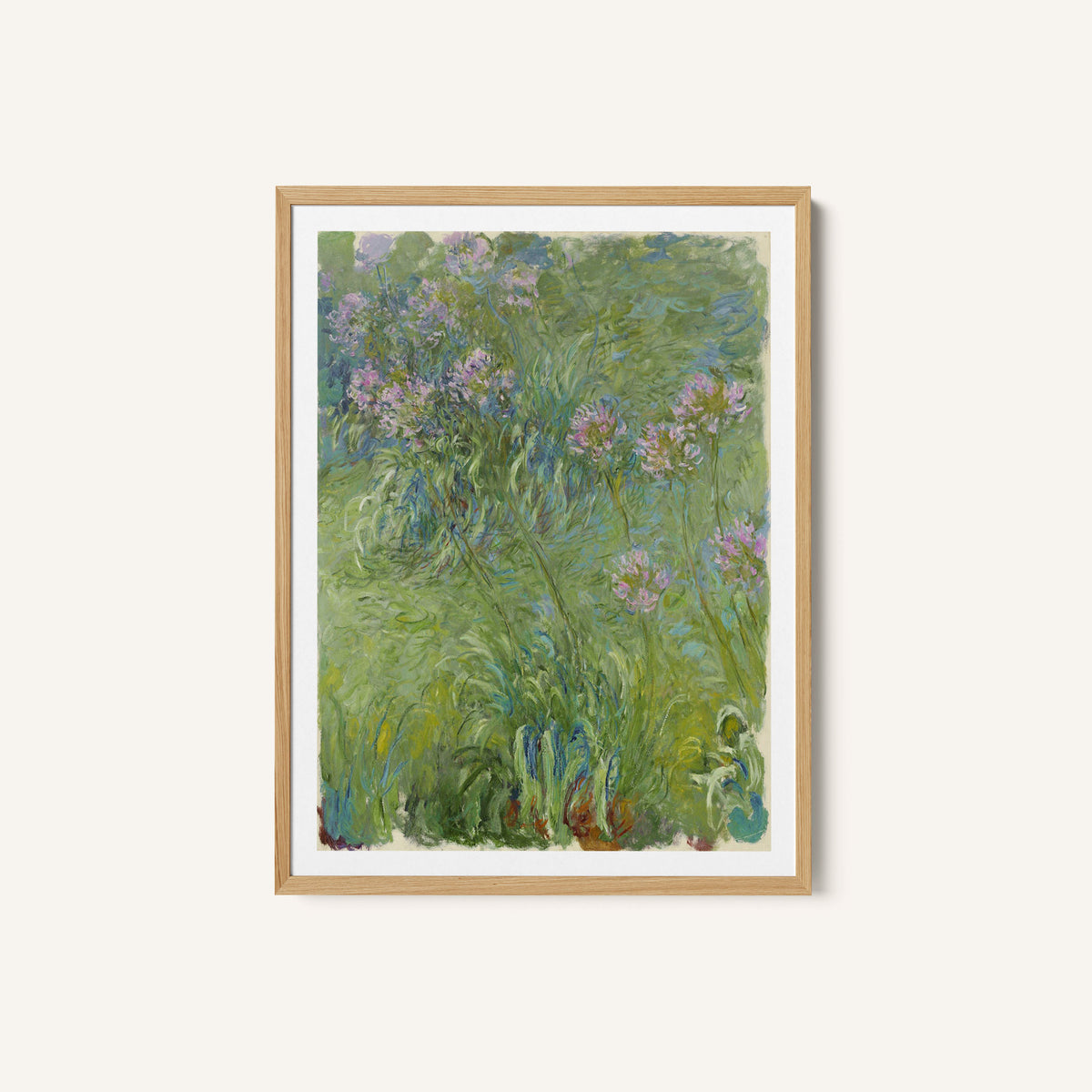 African Lily