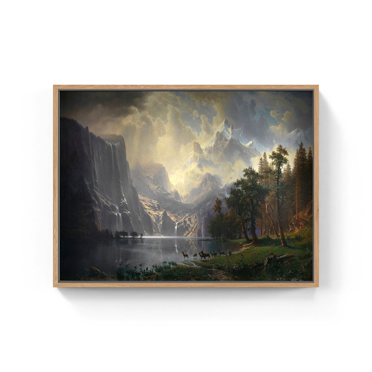 The art