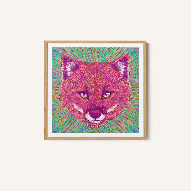 Animal Face - Fox