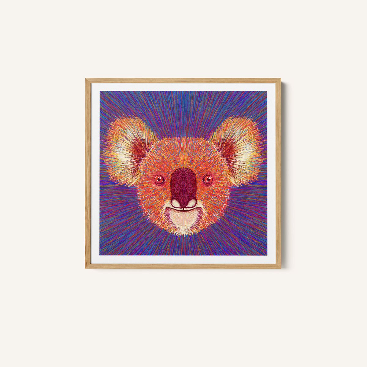 Animal Face - Koala