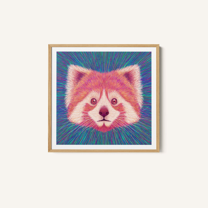 Animal Face - Red Panda