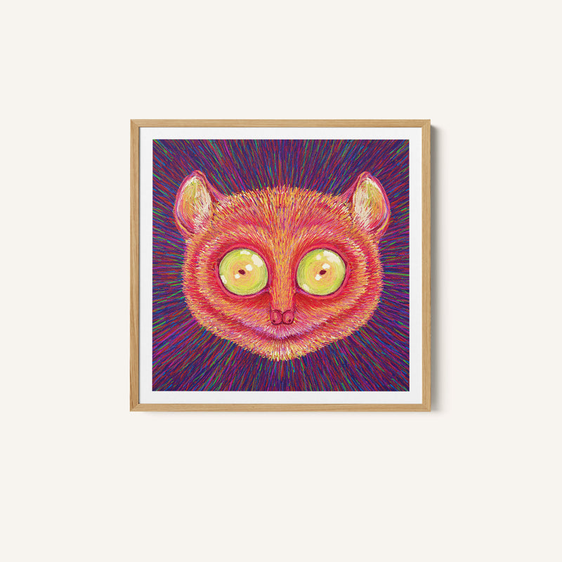 Animal Face - Tarsier