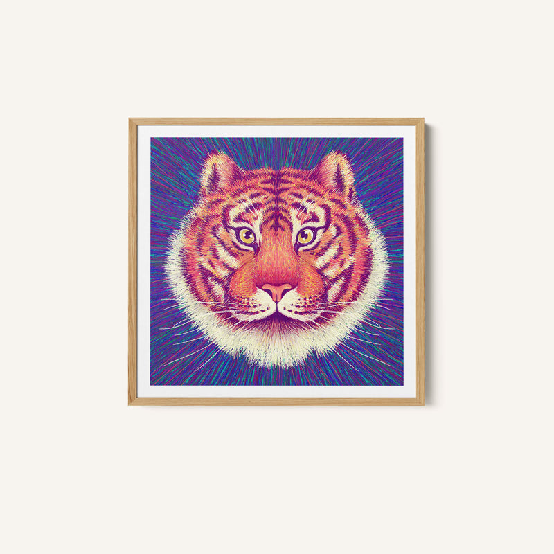 Animal Face - Tiger