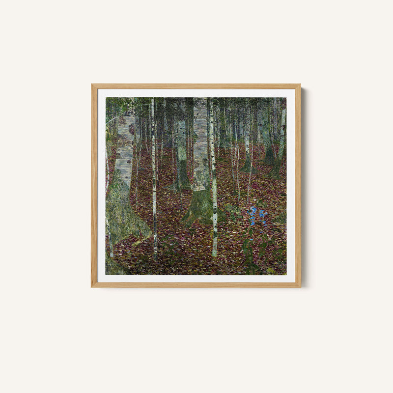 Birch Forest_1903