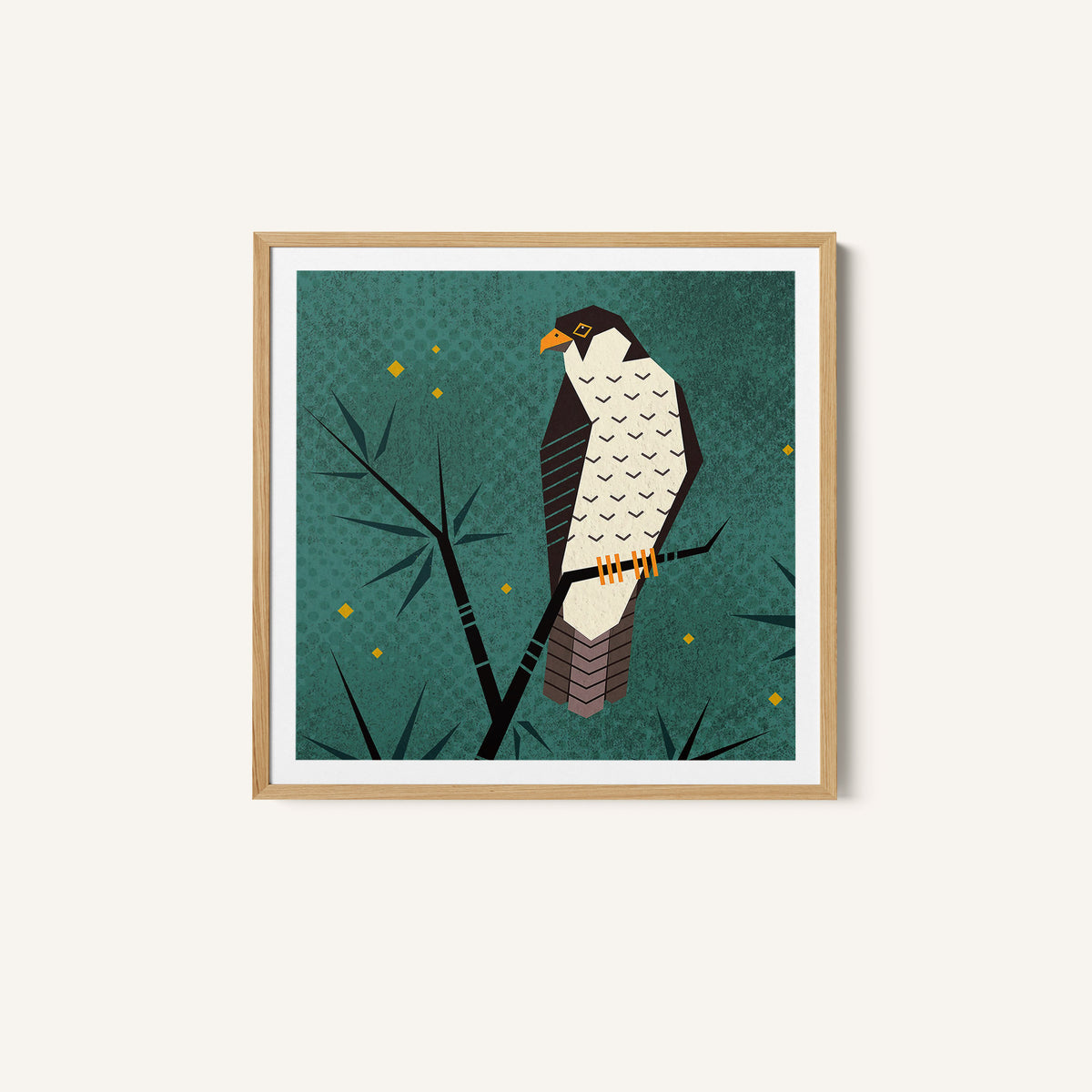 Bird Series - Geometry Falcon