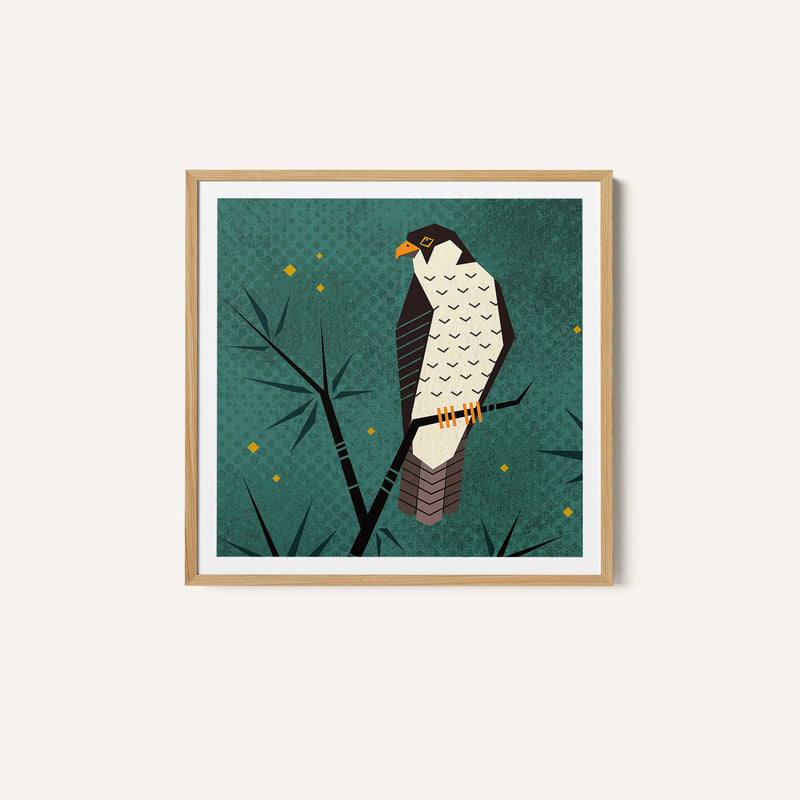 Bird Series - Geometry Falcon