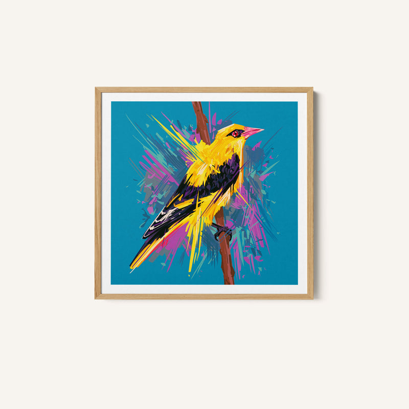 Bird Series - Golden Oriole