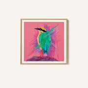Bird Series - Indian Pitta – image 1
