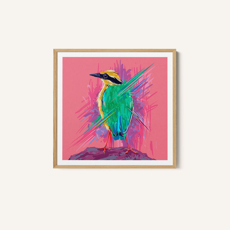 Bird Series - Indian Pitta