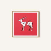 Connecting Wildlife - Antelope – image 1