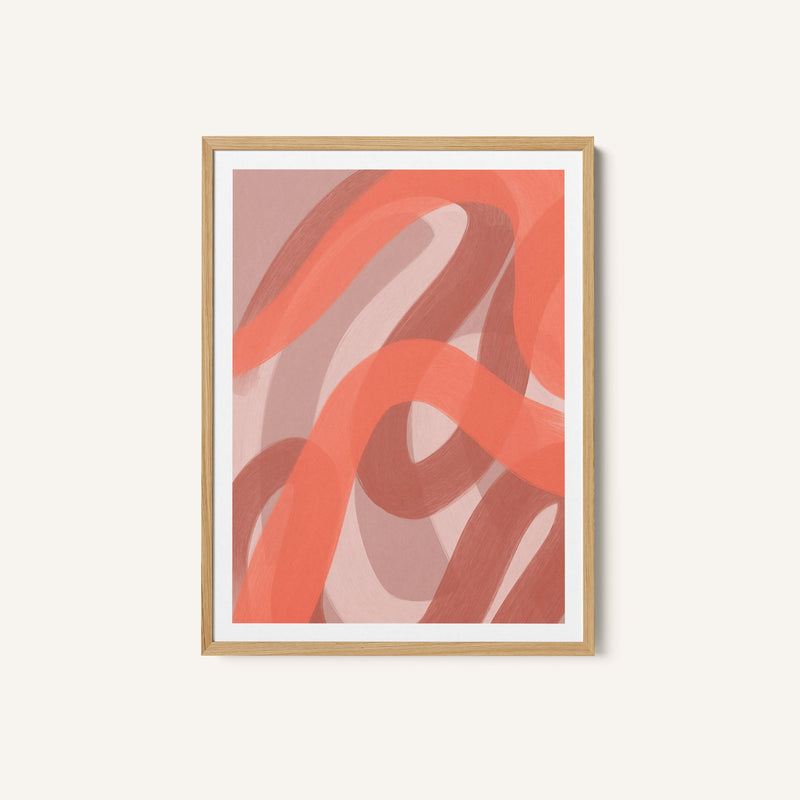 Coral VI