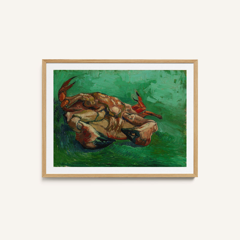 Crustacean Lying on His Back