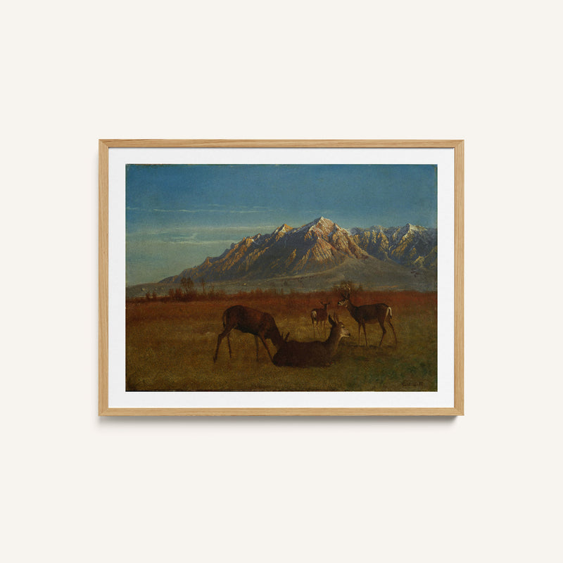 Deer in Mountain Home (1879)