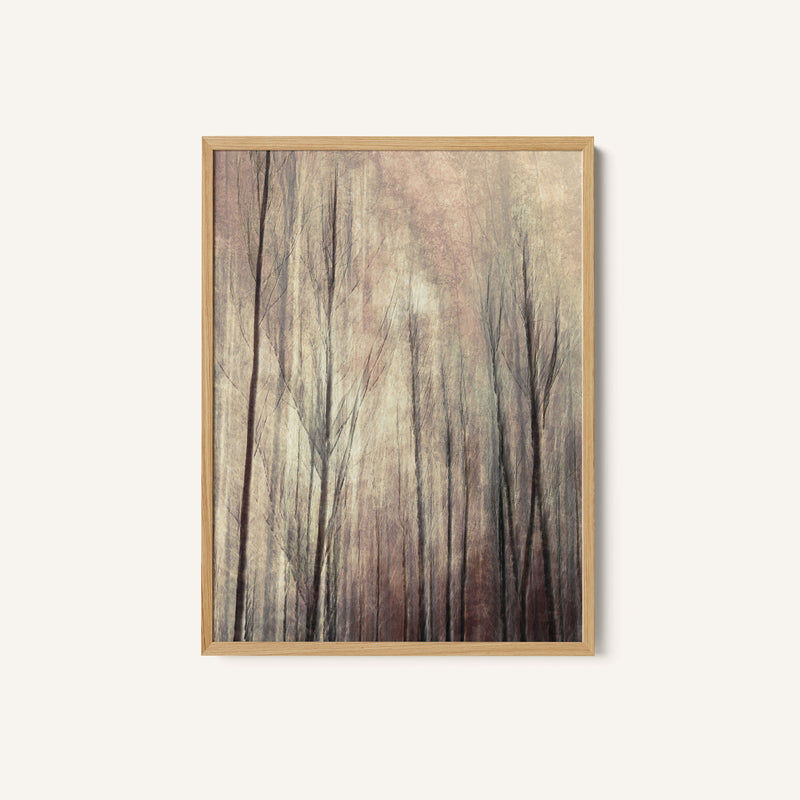 Fall Forest