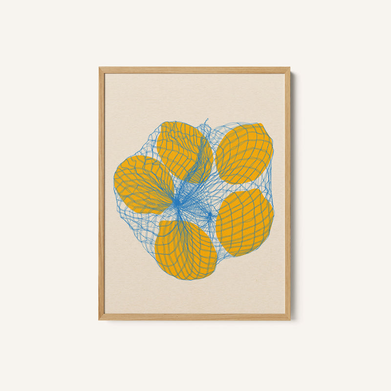 Five Lemons In a Net Bag