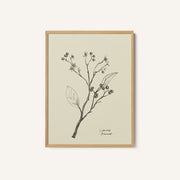 Floral 2 – image 1