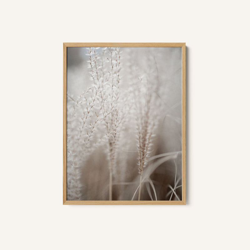 Grass 18