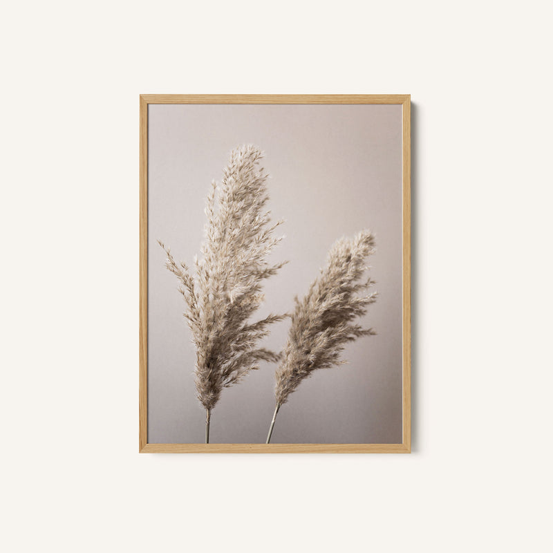 Grass 22X