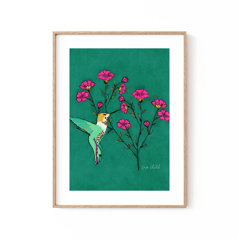 Hummingbird