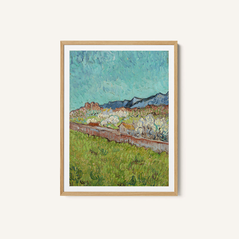 Alpilles Landscape