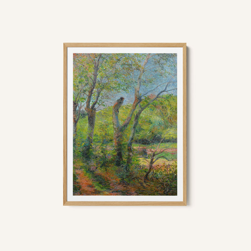The Willows