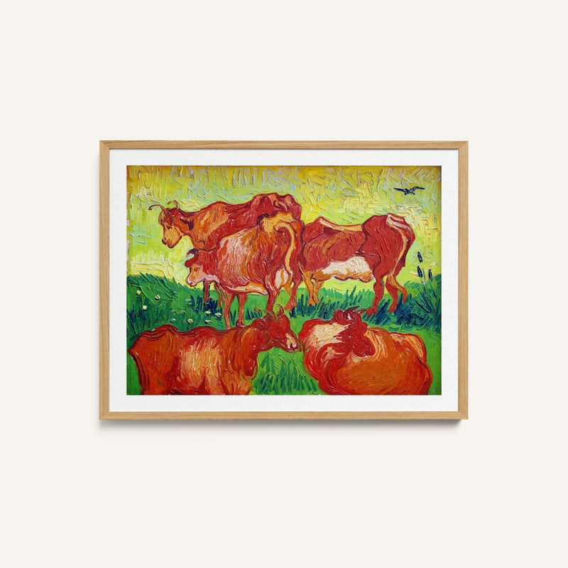 Cows at Lille