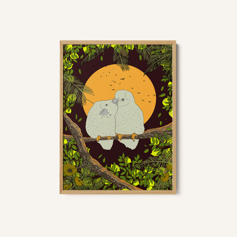 Love Birds Whispers of the Jungle Night