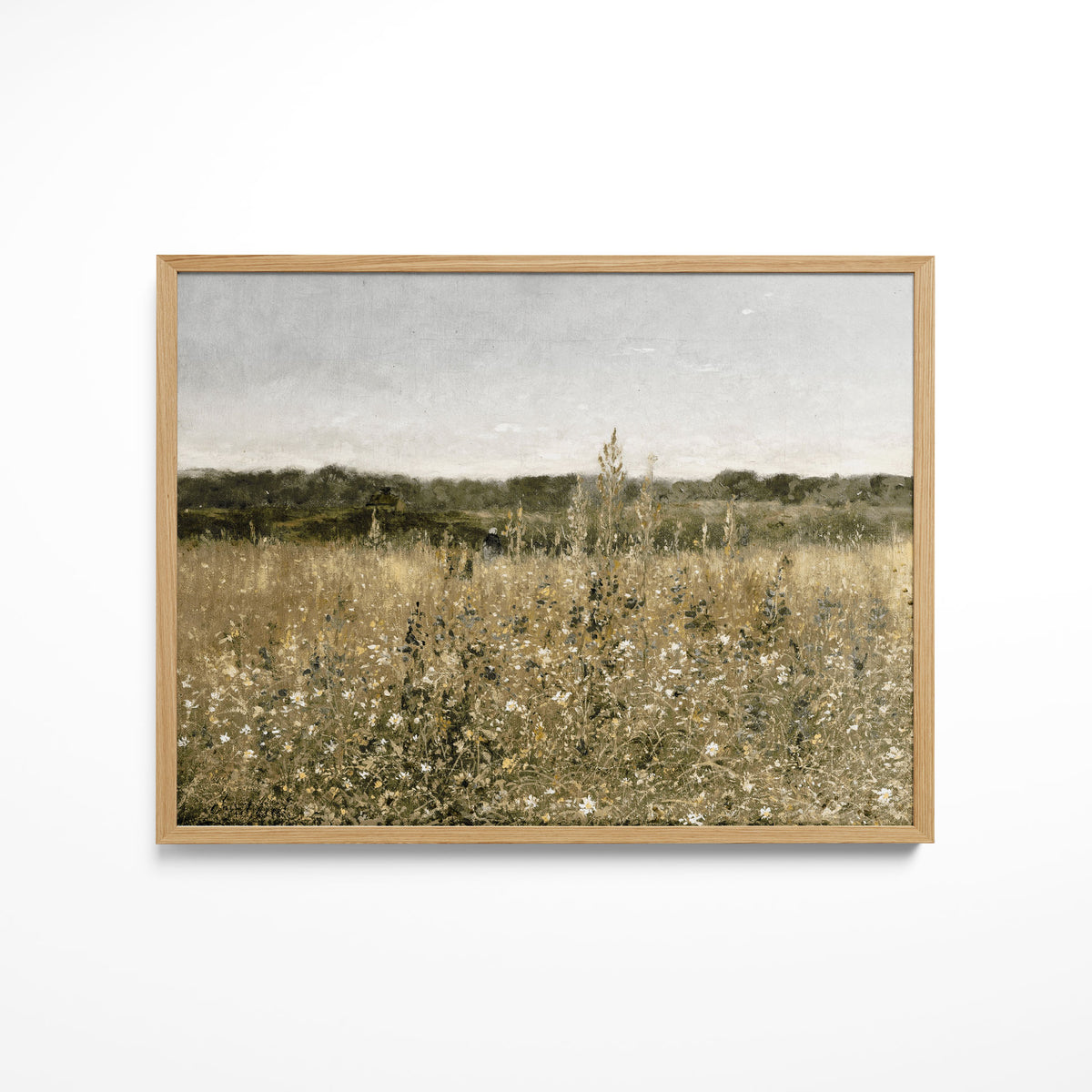 Meadow Montage