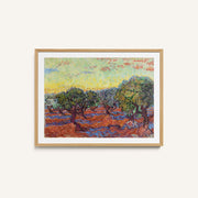 Olive Grove – image 1