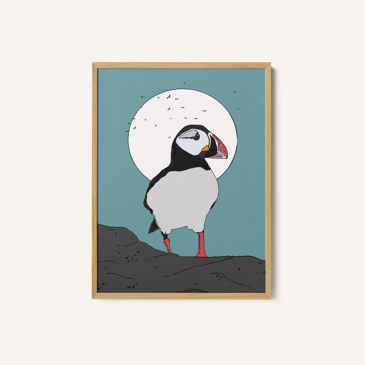 Puffin Standing on Rocks