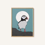 Puffin Standing on Rocks – image 1