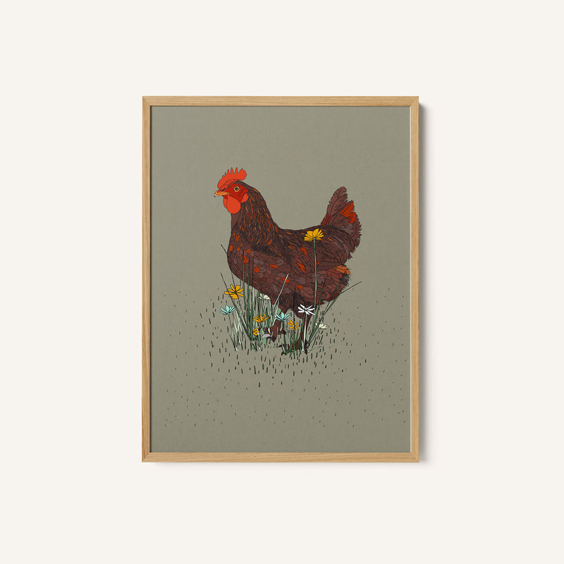 Rooster in the Meadow