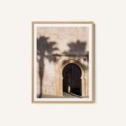 Shadow of a palm tree in Morocco – image 1