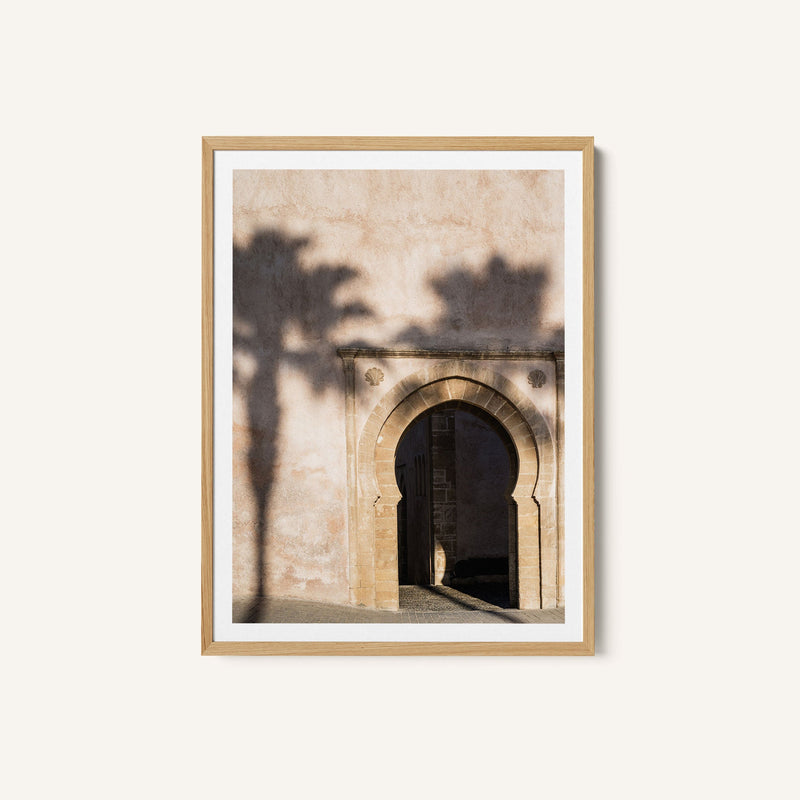Shadow of a palm tree in Morocco