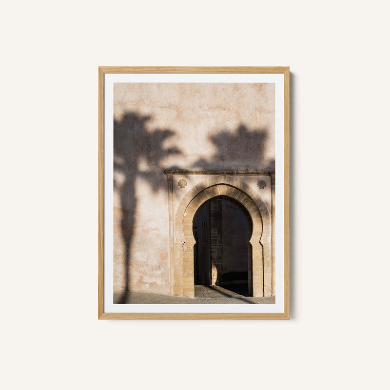 Shadow of a Palm Tree in Morocco