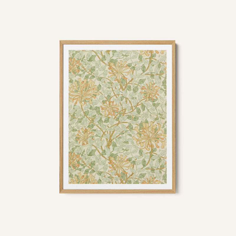 Sidewall, Honeysuckle 1883 02