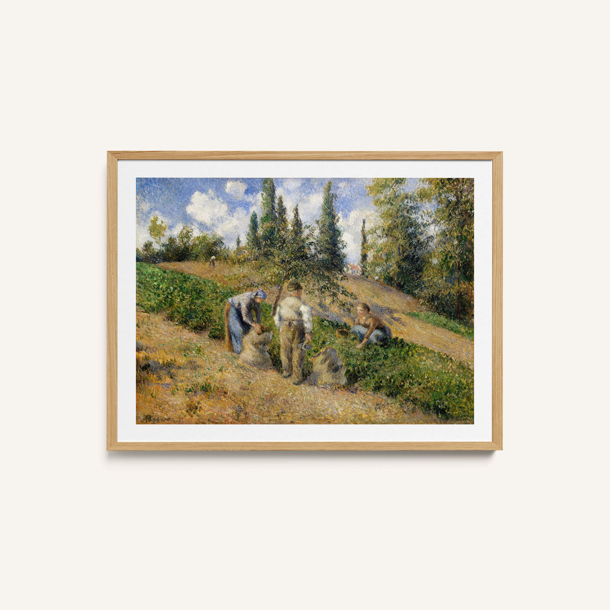 The Harvest, Pontoise
