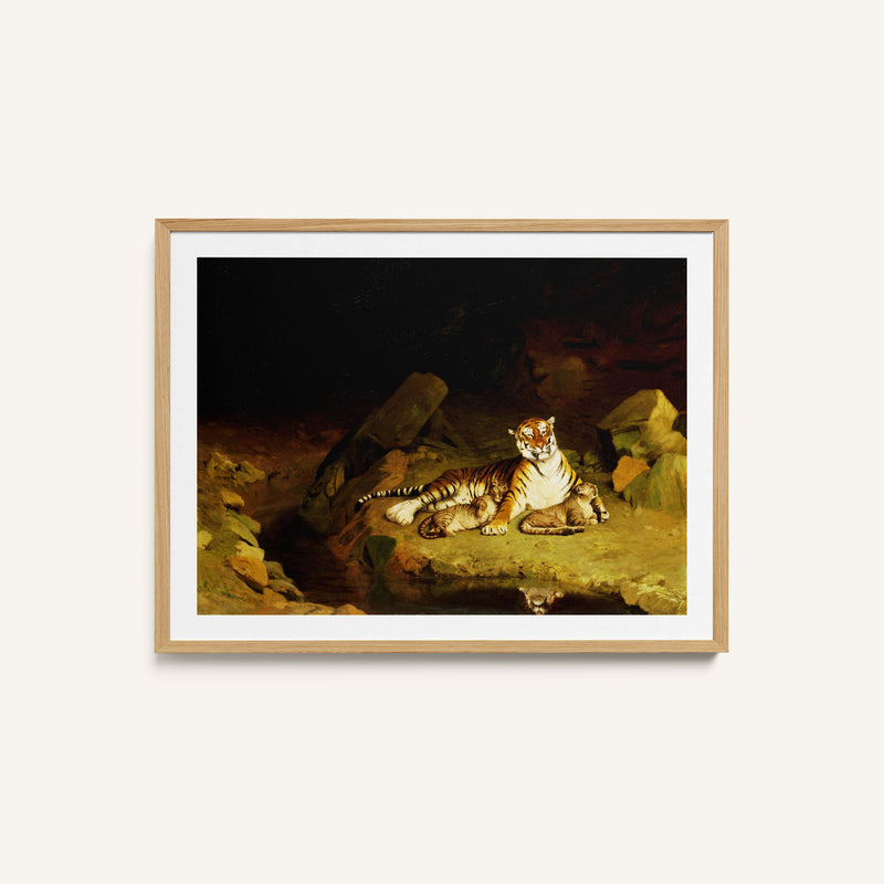 Tiger and Cubs