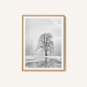 Tranquility after the snow – image 1