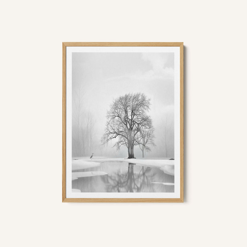 Tranquility after the snow